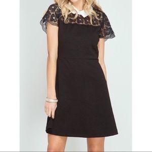 Amor Adore Black Mini Dress with Lace Detail